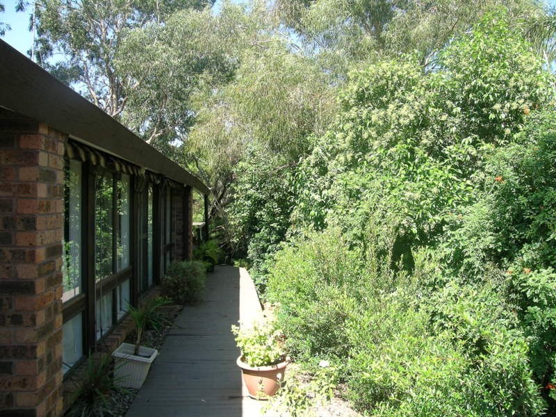 Winston Hills NSW 2153
