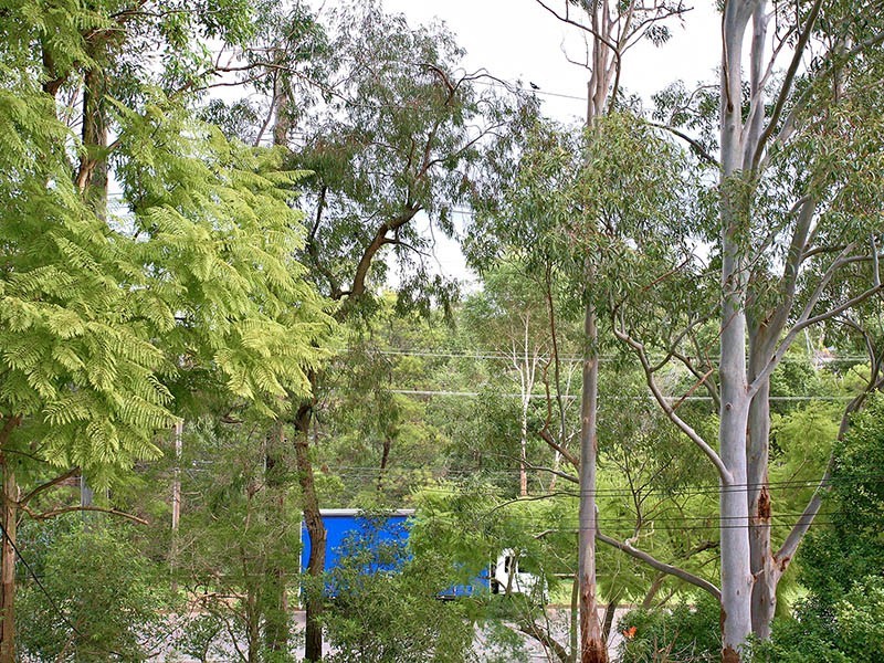 Winston Hills NSW 2153