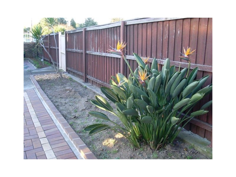 44 Henson Street, Merrylands NSW 2160