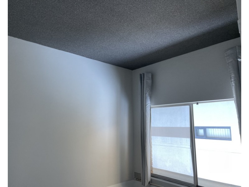 8/36 Lane Street, Wentworthville NSW 2145