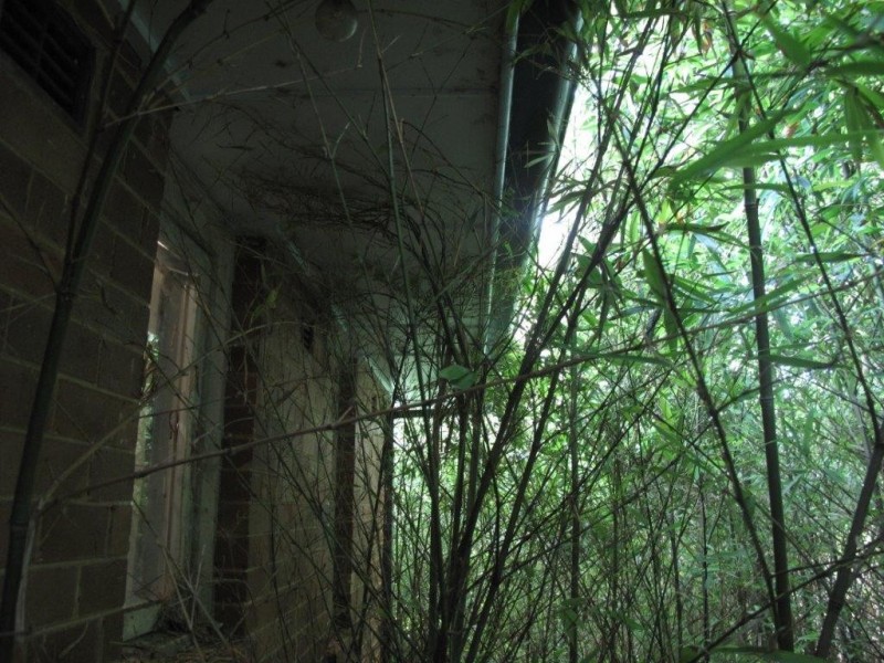 3 Dandarbong Avenue, Carlingford NSW 2118