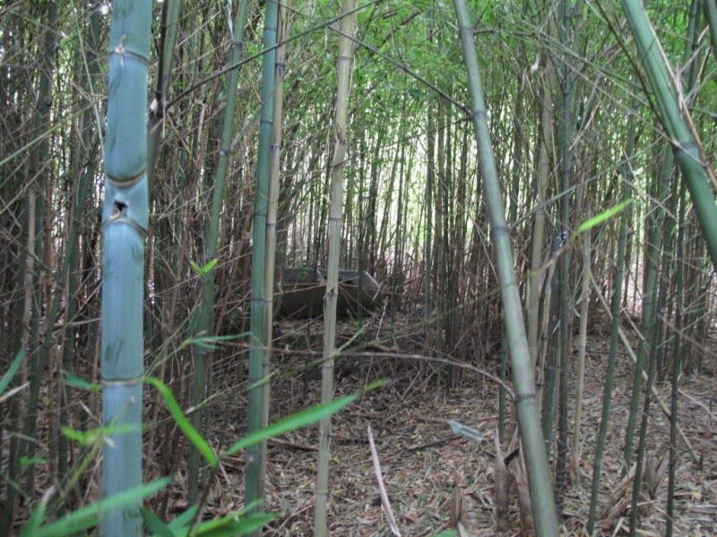 3 Dandarbong Avenue, Carlingford NSW 2118