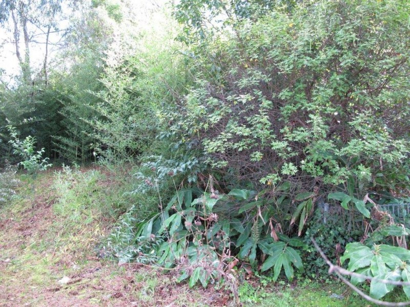 3 Dandarbong Avenue, Carlingford NSW 2118