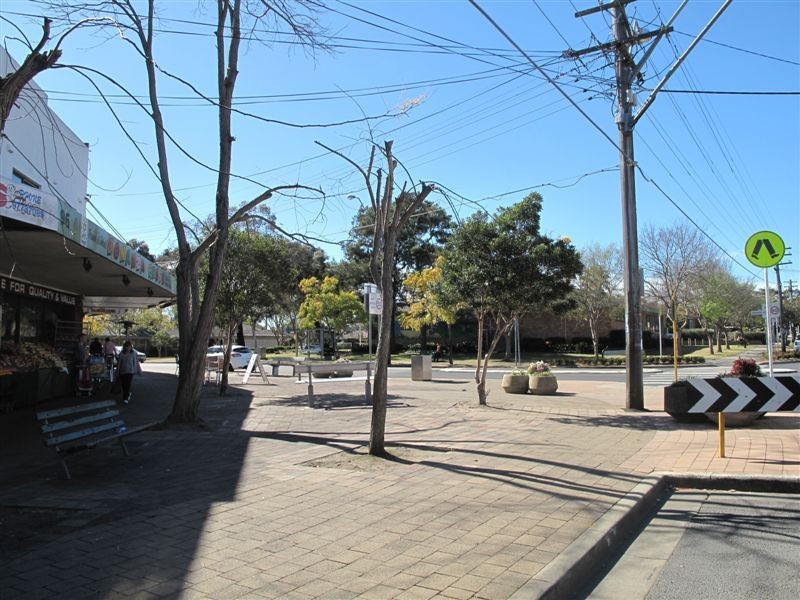 229 Tower Street, Panania NSW 2213