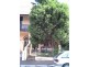23 Newman Street, Newtown NSW 2042