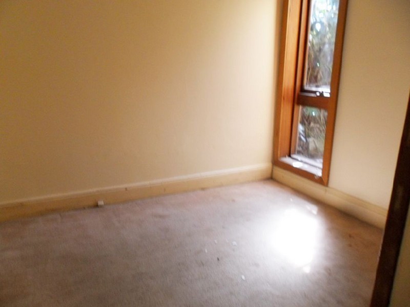 41 Baltic Street, Newtown NSW 2042