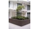 13/12-14 Enmore Road, Newtown NSW 2042