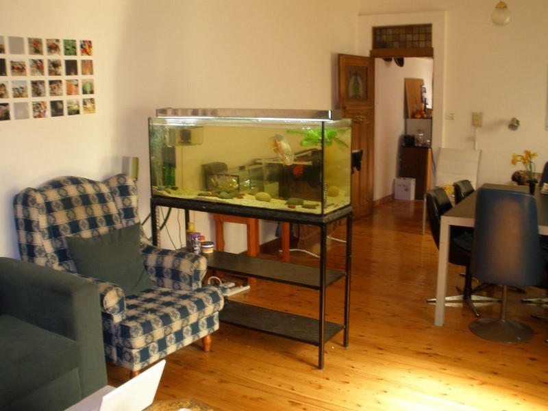 17 Gowrie Street, Newtown NSW 2042