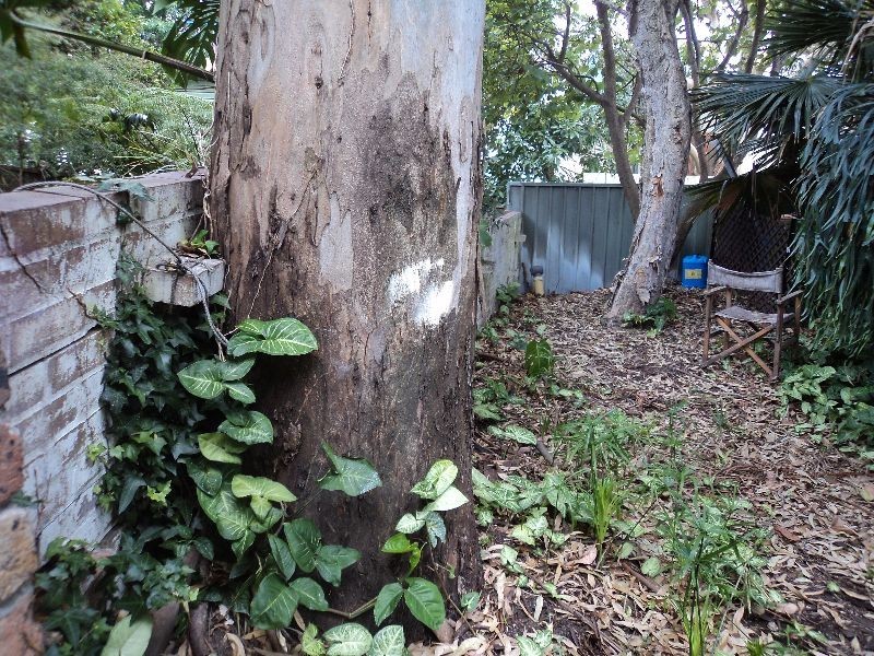 52 Edward Street, Chippendale NSW 2008