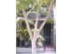 23 Laura Street, Newtown NSW 2042