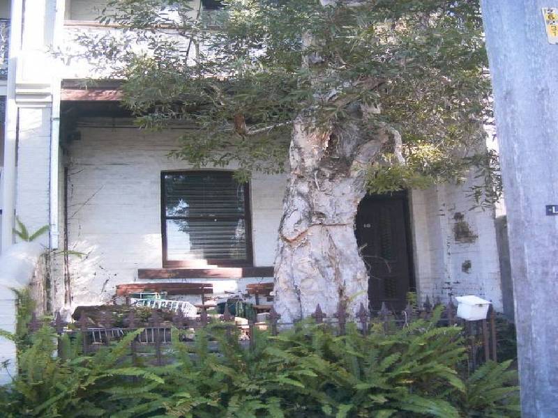 15 Binning Street, Erskineville NSW 2043