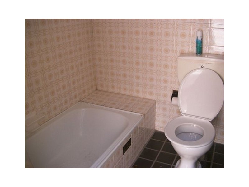 53 Gladstone Street, Enmore NSW 2042