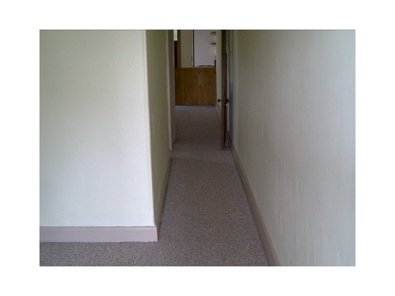 17 Fulham Street, Newtown NSW 2042