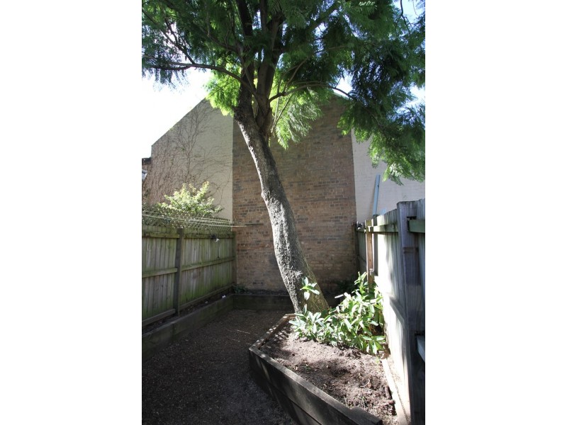 56 Reiby Street, Newtown NSW 2042