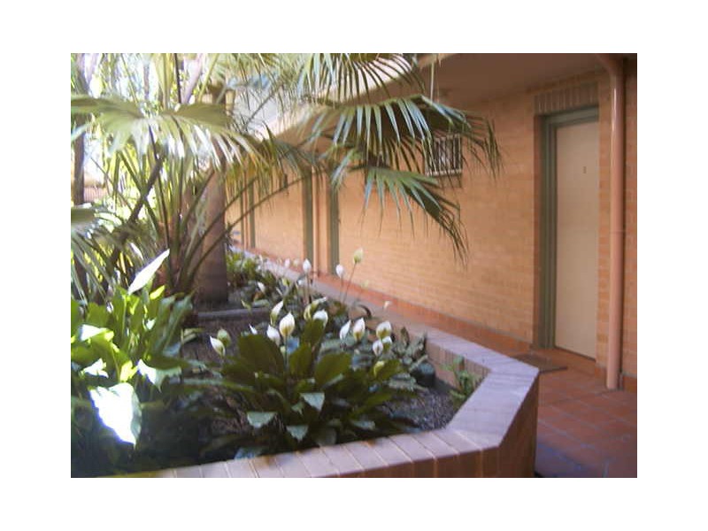 2/145-161  Abercrombie Street, Darlington NSW 2008