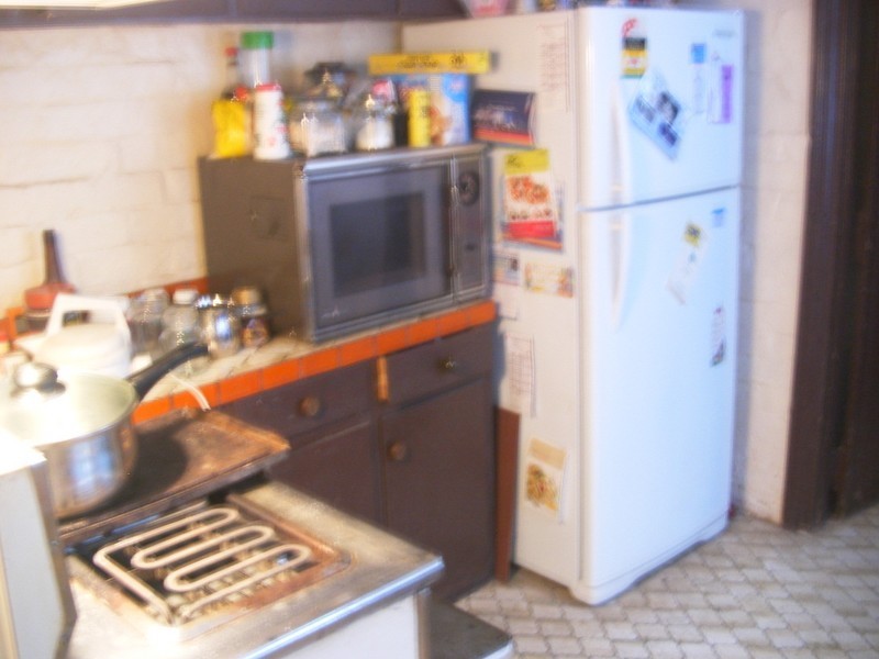 15 Binning Street, Erskineville NSW 2043