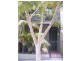 23 Laura Street, Newtown NSW 2042