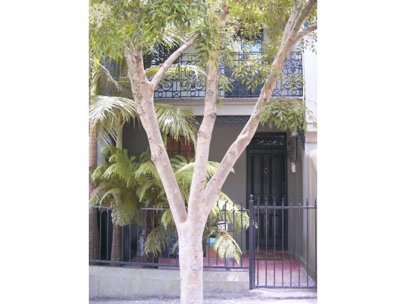 23 Laura Street, Newtown NSW 2042