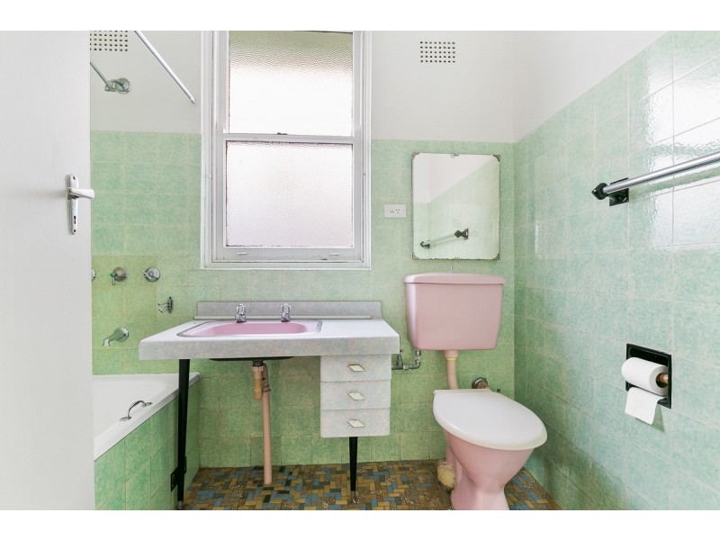 117 William Street, Earlwood NSW 2206