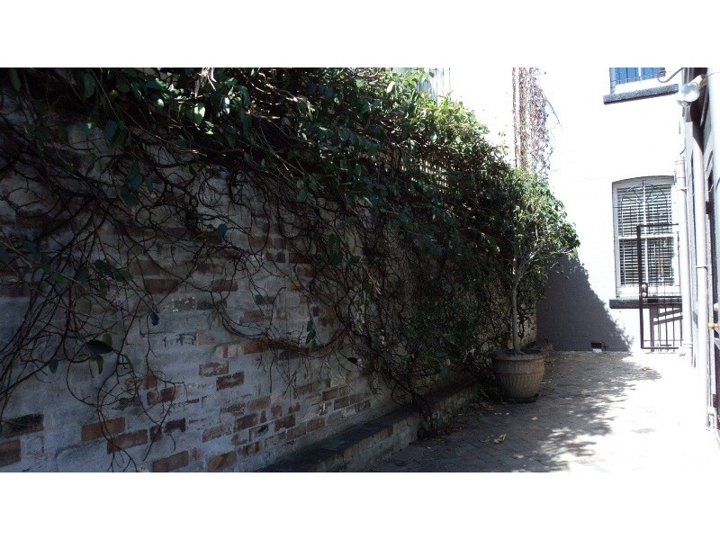 11 Brown Street, Newtown NSW 2042