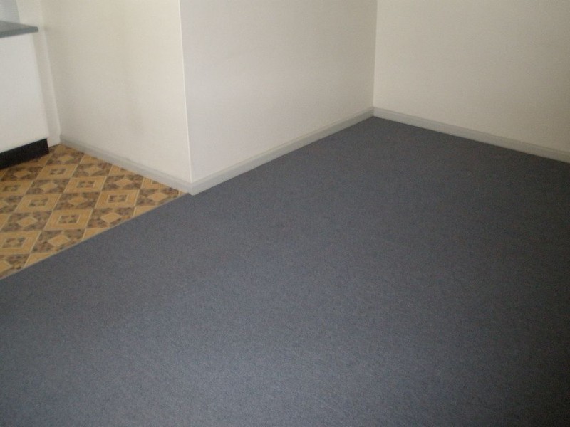 1/227 Shephard Street, Darlington NSW 2008