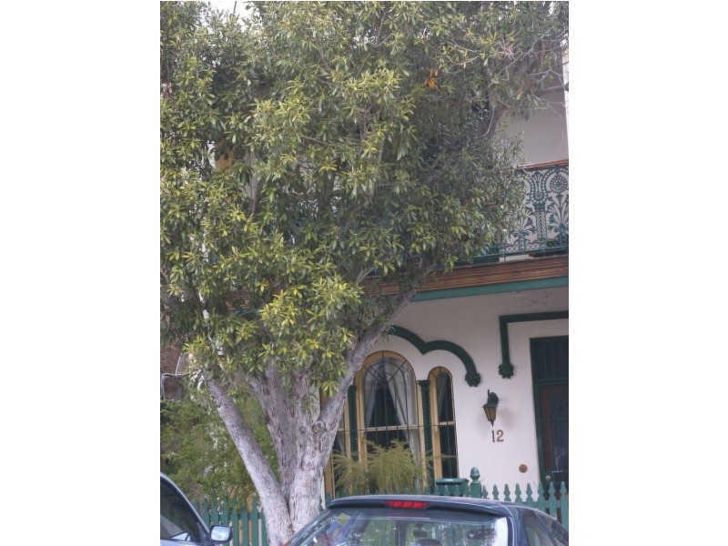 12 Trade Street, Newtown NSW 2042