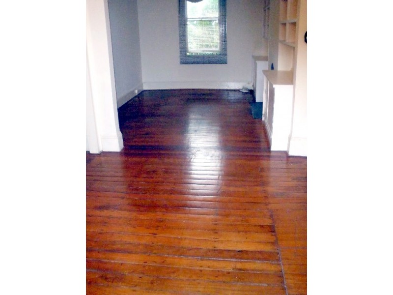 13 Bucknell Street, Newtown NSW 2042