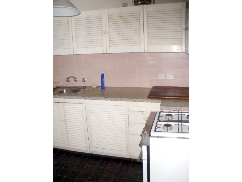 13 Bucknell Street, Newtown NSW 2042