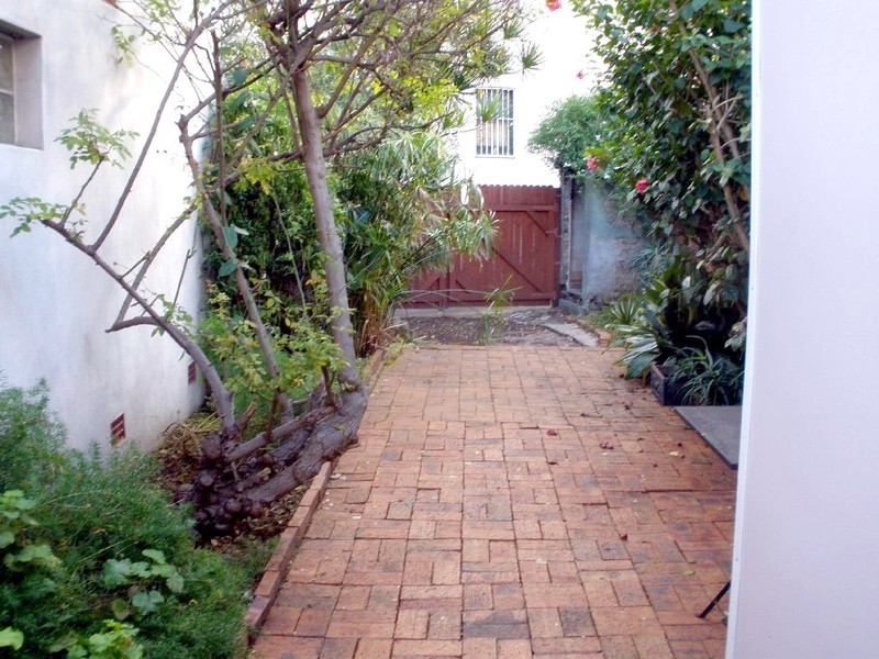 13 Bucknell Street, Newtown NSW 2042