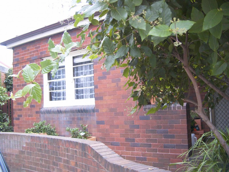 44 Searl St, Petersham NSW 2049