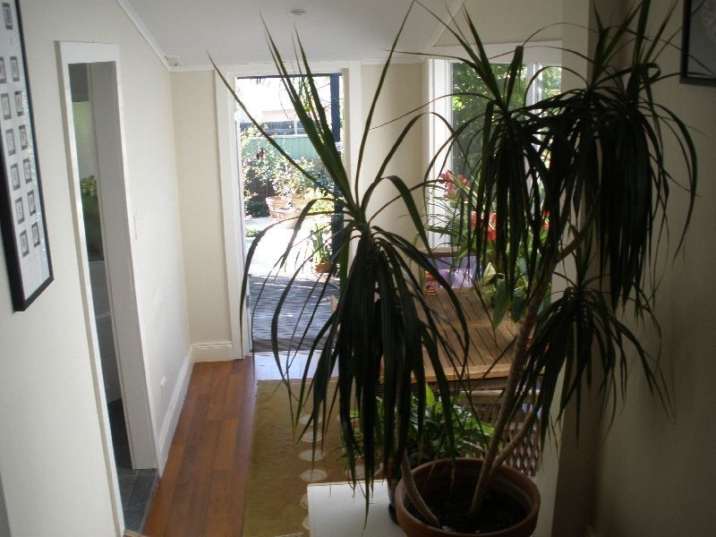 13 John Street, Leichhardt NSW 2040