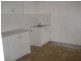 48 Watkin Street, Newtown NSW 2042