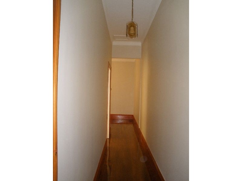 49 Albermarle Street, Newtown NSW 2042