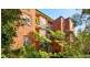 1/4 Loftus Street, Ashfield NSW 2131