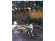 11 Reiby Street, Newtown NSW 2042
