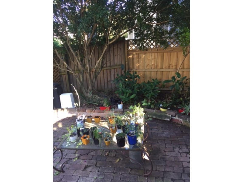 11 Reiby Street, Newtown NSW 2042