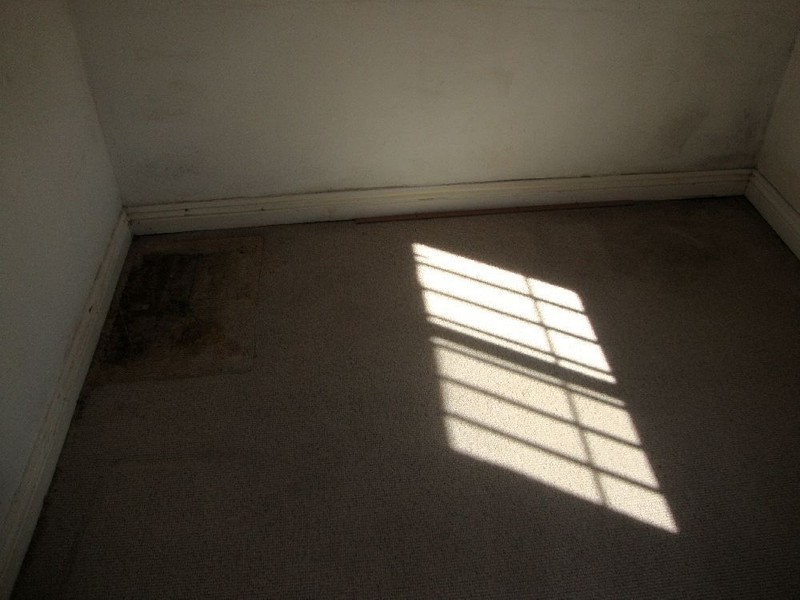 87  Denison Street, Camperdown NSW 2050