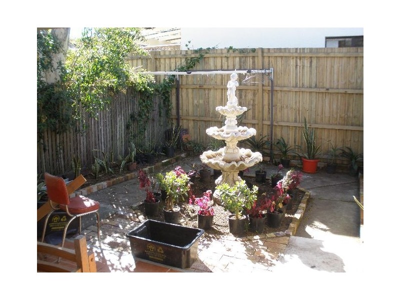 31 Morgan Street, Petersham NSW 2049