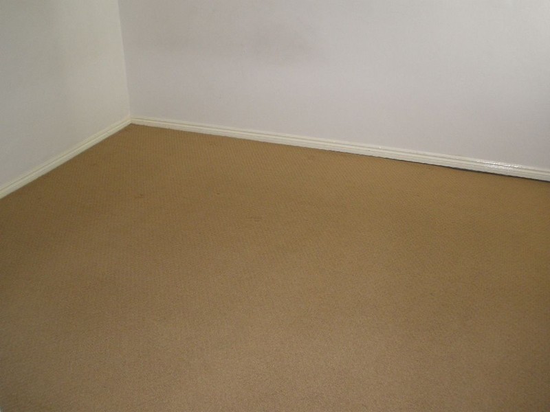 53 O’Connell Street, Newtown NSW 2042