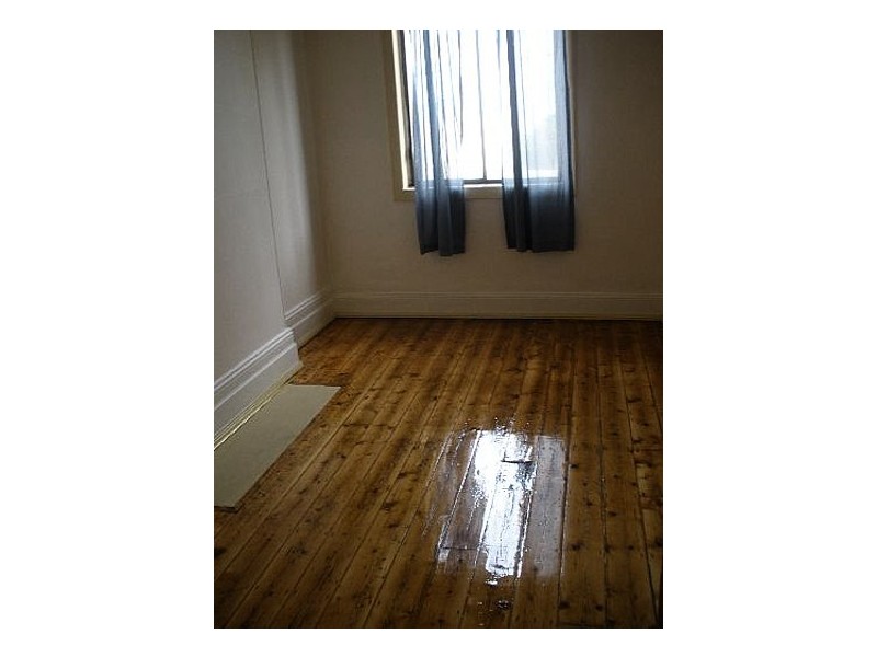 3/119  New Canterbury, Petersham NSW 2049