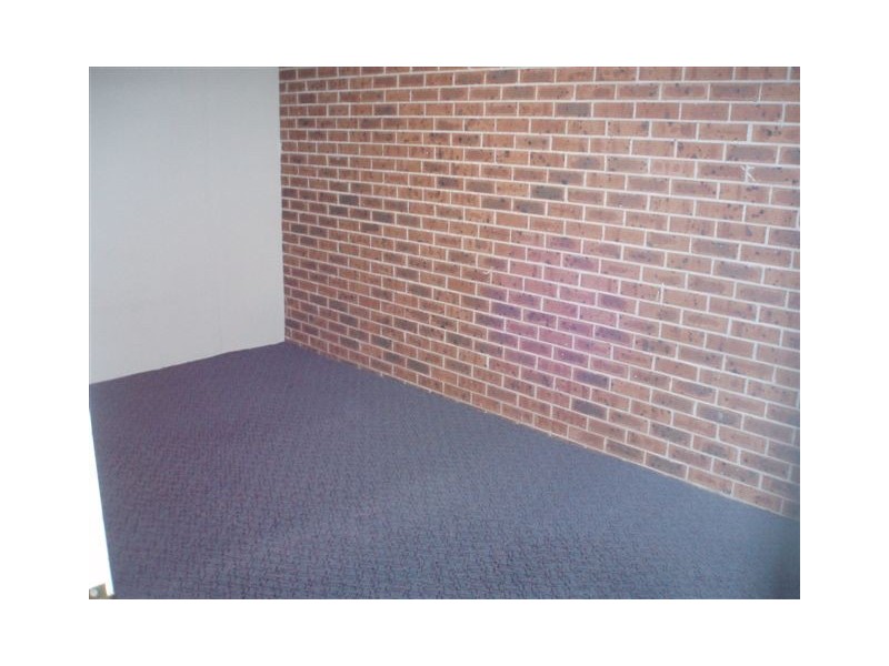 2/10A Alice Street, Newtown NSW 2042