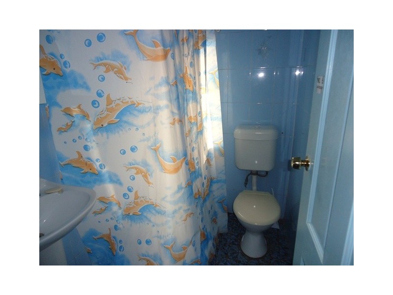 5/50 The Boulevarde, Lewisham NSW 2049