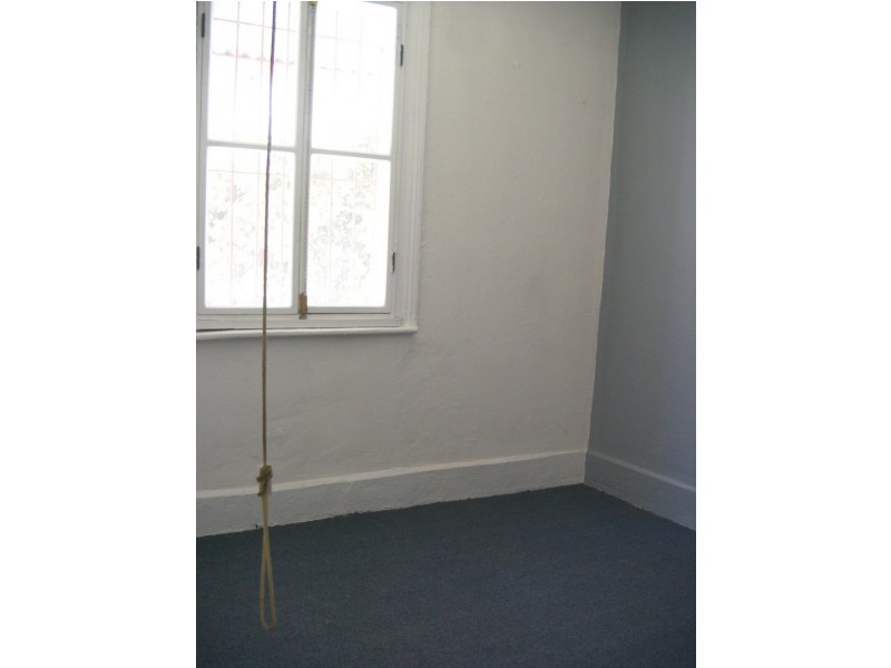56 Reiby Street, Newtown NSW 2042