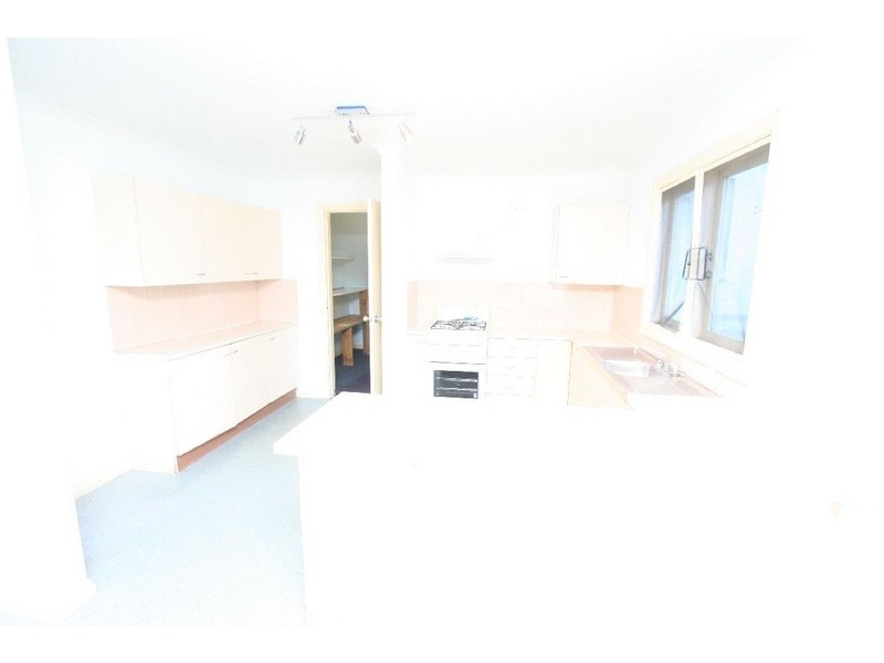 25 Westmoreland Street, Glebe NSW 2037