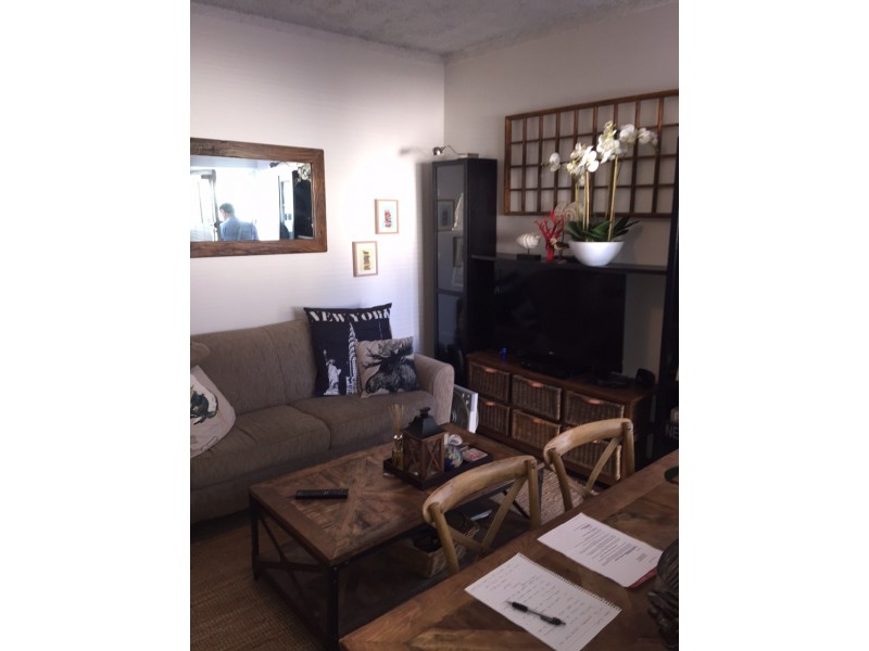 1/47 Egan Street, Newtown NSW 2042