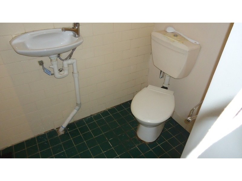 39 Pleasant Avenue, Erskineville NSW 2043