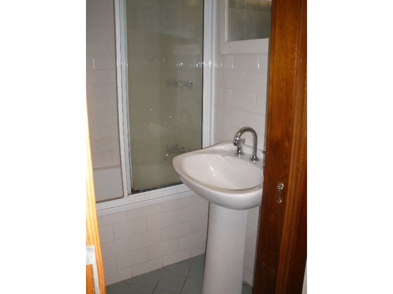 49 Albermarle Street, Newtown NSW 2042