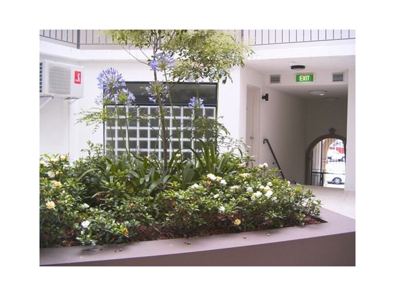 1/12-14 Enmore Road, Newtown NSW 2042