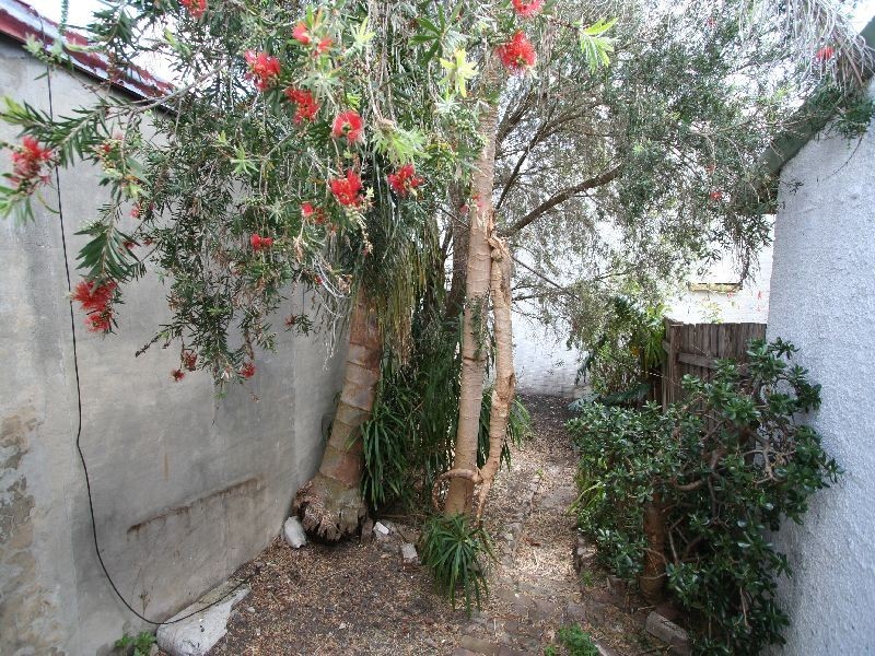 14 Prospect Street, Newtown NSW 2042