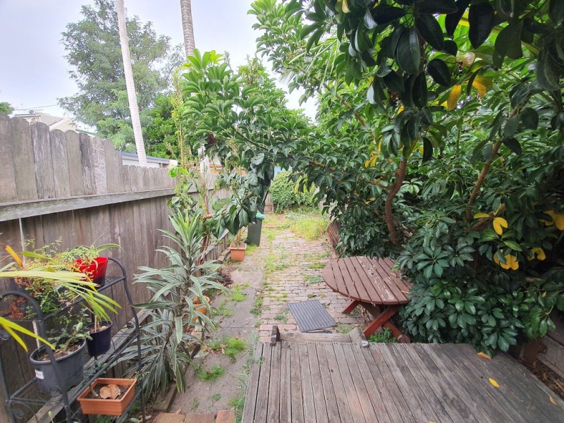 82 Gowrie Street, Newtown NSW 2042